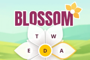 Blossom Game